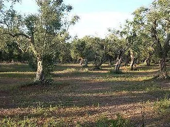 Masseria Lacco Farm stay Muro Leccese