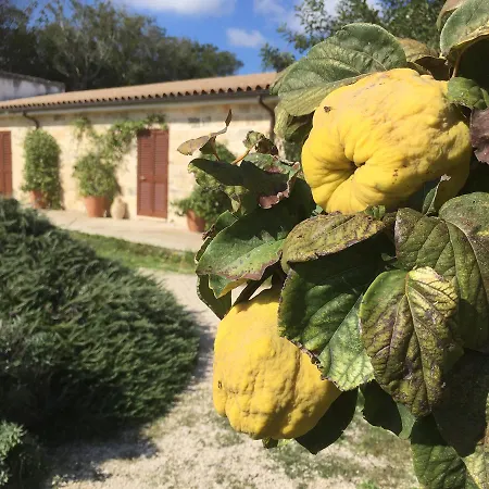 Masseria Lacco Farm stay Muro Leccese